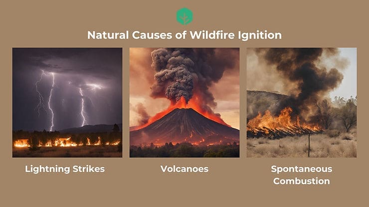 natural causes of wildfire ignition
